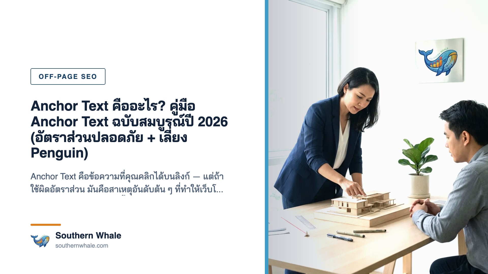 แผนภาพ Anchor Text แสดงประเภท exact match, branded, naked URL และอัตราส่วนที่ปลอดภัย