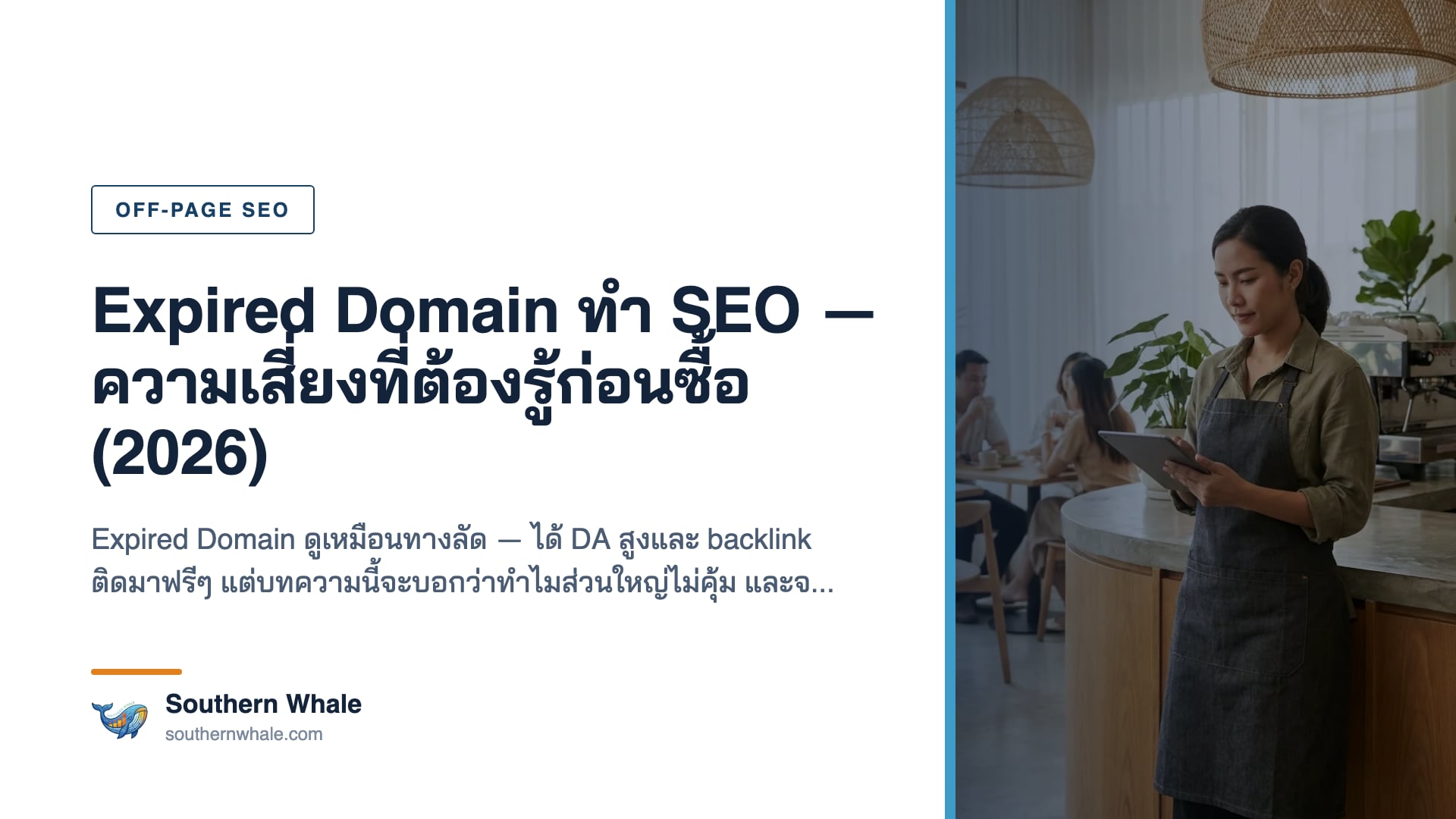 Expired Domain ทำ SEO — แผนภาพเตือนความเสี่ยงโดเมนหมดอายุ ประวัติสกปรก backlink toxic และ Google reset ค่าเมื่อเปลี่ยนเจ้าของ ปี 2026