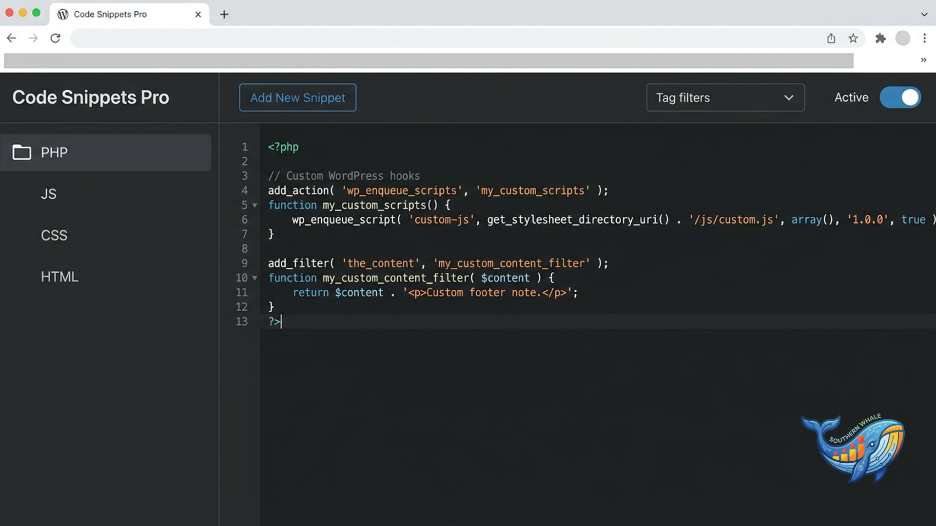 Code Snippets Pro WordPress PHP JavaScript CSS code manager review and lifetime license activation by Southern Whale