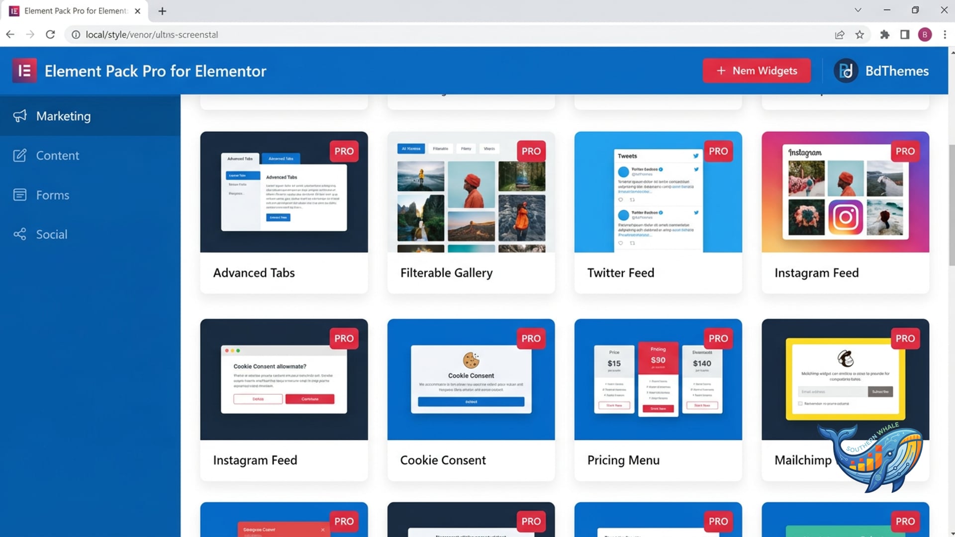 Element Pack Pro for Elementor 300+ premium widgets and 2700 templates by BdThemes admin interface — Southern Whale lifetime license activation service